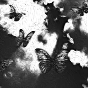 TaiwanGAY台湾0色直男
